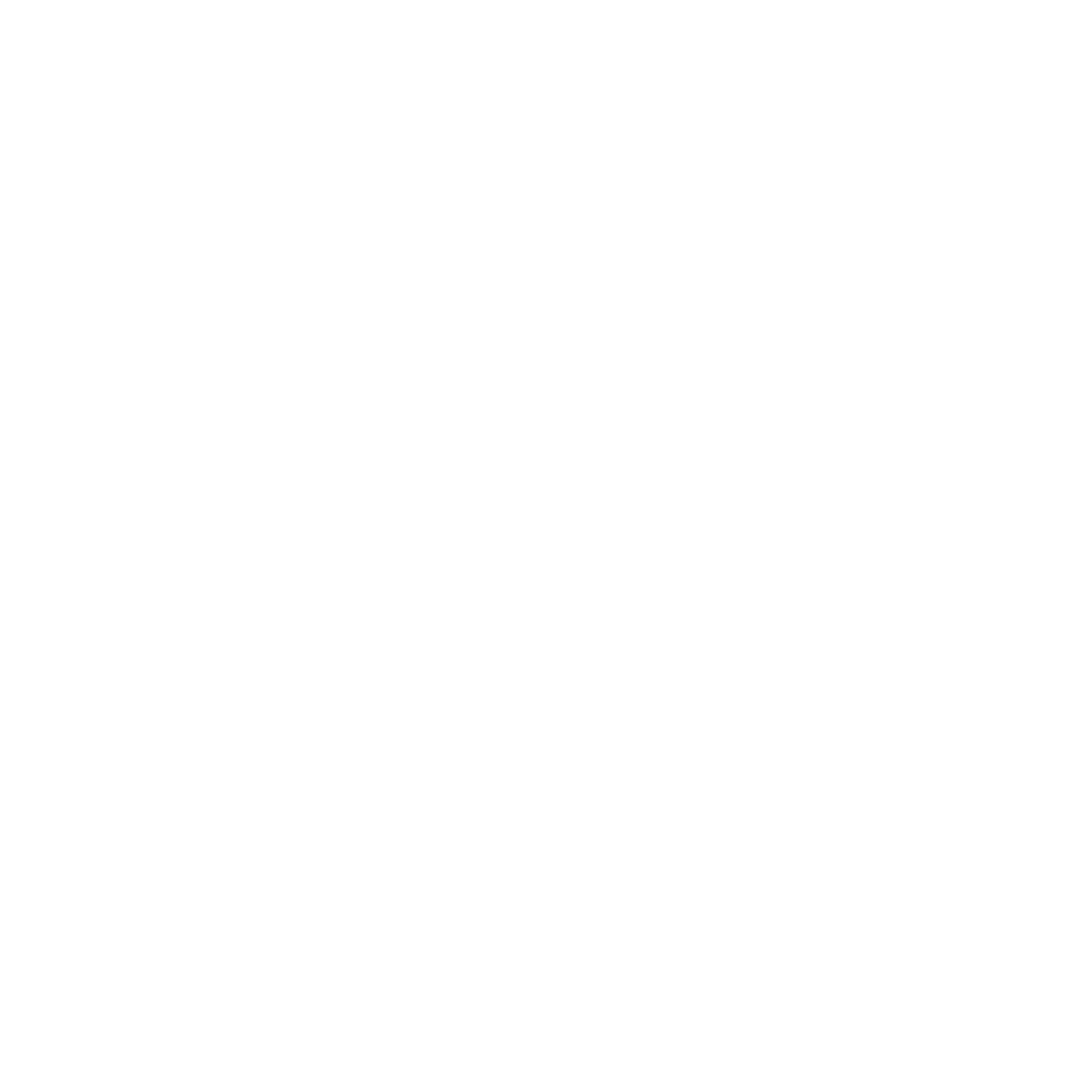 Logo Anisa Mengemudi